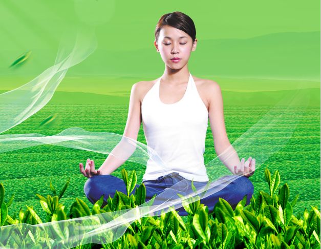 网络预约出租车经营许可证模板/图片